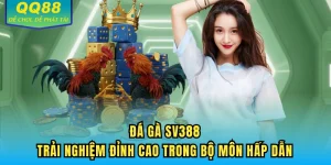 đá gà sv388 tại nhà cái QQ88